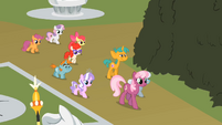 Cutie Mark Crusaders and their class.