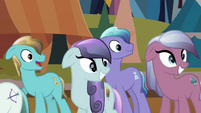 Crystal Ponies looking at the Crystal Heart S3E02