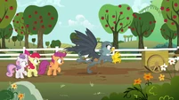 Dr. Hooves frees his cart from the mud S6E19.png (1.06 MB)