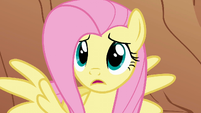 Fluttershy "But why?" S1E21