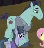 Hammerhead McColt ID S5E23