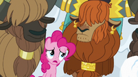 Pinkie Pie "what are we doing?" S7E11