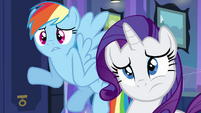 Rainbow and Rarity -what are hands-- EG