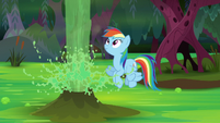 Rainbow watches the geyser blast water S8E17