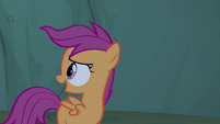 Scootaloo 'I just love camping and hanging out' S3E06