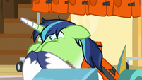 Shining Armor covering his mouth S7E22
