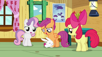 Angel hugging Scootaloo's legs S3E11