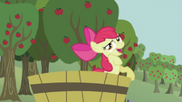Apple Bloom 'that's silly' S2E05