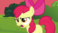 Apple Bloom -Wow, that's- S4E15