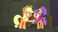 Applejack "I like you, Plaid Stripes" S6E9