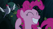 Bird flies out of Pinkie Pie's mane S7E19