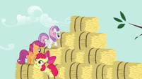 CMC bouncing onto bales 2 S2E17