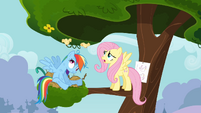 Chicks flying in circles on Rainbow Dash's head S4E04