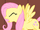 Fluttershy's scream S01E20.png