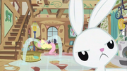 Fluttershy and Angel S02E23