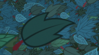 Leaves of green covering the screen S8E6