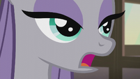 Maud Pie "they're all about rocks" S5E20