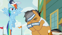 Quibble buries his face in his hooves S9E6