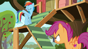 Rainbow Dash "throw 'em off a cliff" S8E20