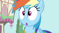 Rainbow Dash no words S3E13