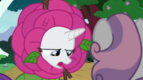 Rarity -didn't realize it was gonna be the last- S7E6