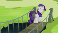 Rarity ecstatic S4E03