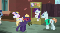 Rarity opens a friendship advice stand S5E16