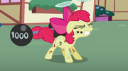 S02E06 Apple Bloom podnosi ciężary.png