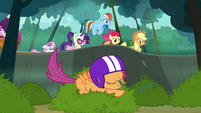 Scootaloo lands on the bush S3E06