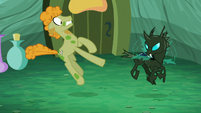 Stallion freaked out by changeling S5E26