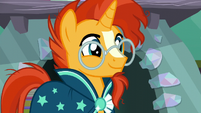 Sunburst smiling S6E2