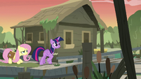 Twilight and Fluttershy enter the bayou village S7E20