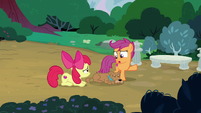 Apple Bloom and Scootaloo all out of ideas S7E6