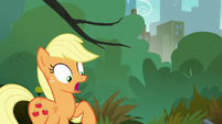 Applejack shocked that she mowed over her hat S5E16