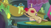 Chipmunk slurps Meadowbrook's un-sniffle elixir S7E20