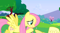 Fluttershy oh my S2E25