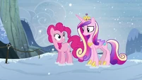 Oh, hello, Princess Cadance!
