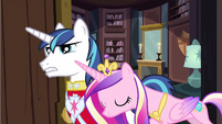 Shining Armor is wondering if something was wrong.