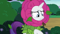 Rarity realizes she's still in a flower costume S7E6