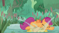 Scootaloo falls on a bufogren's head S9E22