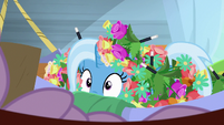 Trixie covered in fake wand flowers S8E19