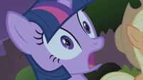 Twilight cries, "Rainbow!"