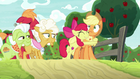 Apple Bloom hugging Applejack with joy S9E10