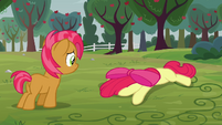 Babs sees Apple Bloom on the ground S3E08