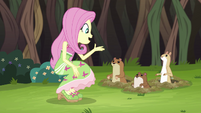 Fluttershy asking the gophers for help EG4