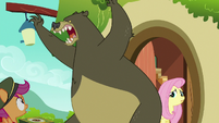 Harry roaring at Fluttershy's visitors S6E15