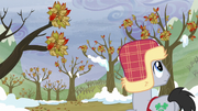 Lucky Clover sees trees with leaves intact S5E5