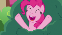 Pinkie Pie -happiest pony in all of Equestria!- S7E23