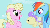 Rainbow Dash Returning Baby To Mother S2E08