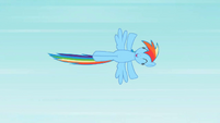 Rainbow Dash fly 1 S2E07